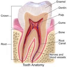 Best Dental Implants Treatment provider in Mesa, AZ area